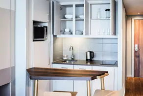Aparthotel Adagio Edinburgh Royal Mile - Studio 2 People - Image 3