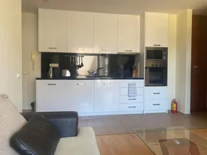 Holiday apartment with pool - Image 2