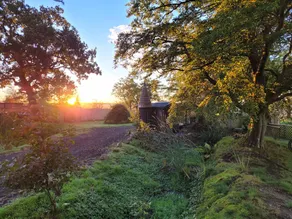 Cabin with garden - Image 3