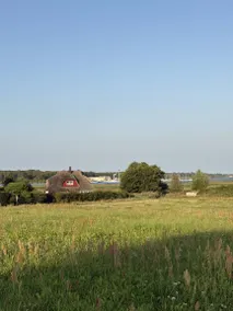 Fully equipped holiday home with BBQ, sauna & garden | Nature view | Pet-friendly - Image 2