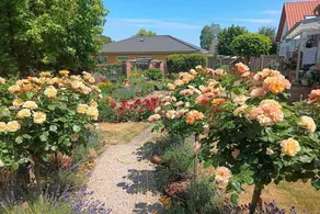 Lovely holiday home | Pet-friendly - Image 2