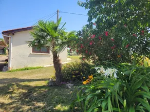 Cottage totalmente attrezzato con terrazza, griglia e giardino | Vista sul giardino - Image 2