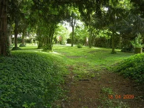 Agriturismo Fenilnovo: Fata Platano - Image 3