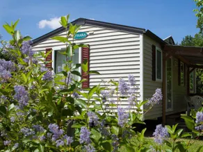 Charmant mobil home adapté aux familles avec terrasse et piscine | Avec animaux admis - Image 4