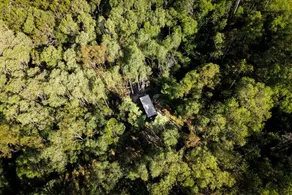 Quirky Tiny House Retreat with Friesian Horses Near Tamborine Mountain, Queensland - Image 2