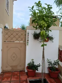 Garden House: Private Pool, Wi-Fi and Air Conditioning in Ponte de Sor - Image 3