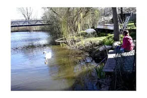 Fully equipped holiday home with terrace, garden & sauna | Pets allowed - Image 4