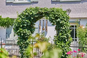 Appartamento con giardino - Image 4