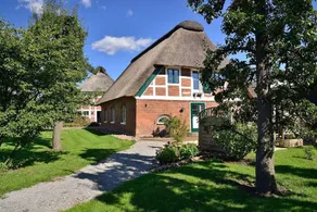 Nice house with terrace - Image 5