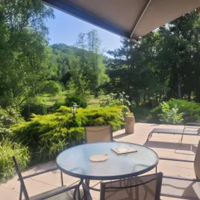Equestrian Retreat in the Forest with Donkeys – Domaine L'échappée Verte - Image 2
