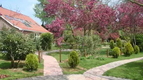 Child-friendly house with garden, pool & terrace | Pets allowed - Image 5
