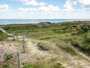 Family-friendly holiday home with terrace & BBQ | Next to the beach | Pets allowed - Image 5