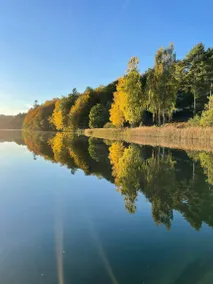 Wooden house with nature views near Silkeborg - Image 3