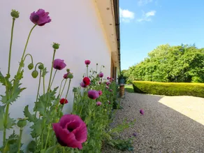 Cottage with garden - Image 3