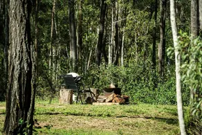 Amazing Tiny House Farm Stay Surrounded by Wildlife for a Peaceful Escape in Nature in Logan Village, Queensland - Image 3