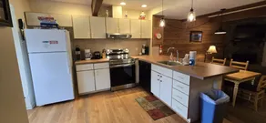 Wooded Wonder-2 Bedroom Ski-in and out with Hot Tub - Image 2