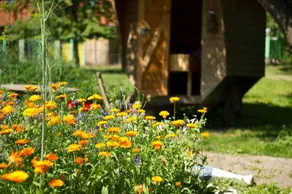 Landhotel Untere Mühle - Image 4