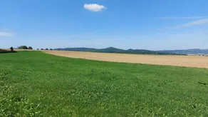 Appartamento con terrazza, giardino e idromassaggio | Vista sul giardino - Image 4