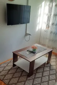 Studio with barbecue, garden & terrace | Sea view | Pets are welcome - Image 3