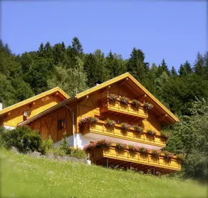 Ferienwohnung mit Sauna, Garten und Terrasse - Image 2