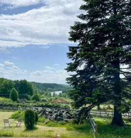 Maison de vacances avec barbecue et terrasse - Image 3