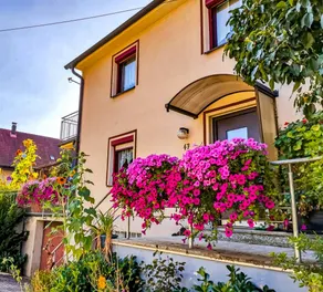 Children-friendly holiday home with terrace & barbecue | Nature view | Pet-friendly - Image 4