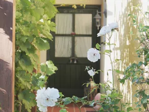 Flat with garden & terrace | Garden view - Image 2