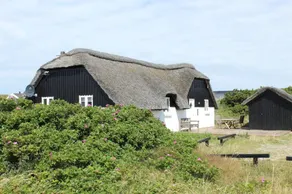 Fully equipped big holiday home with sauna & terrace | Close to the beach | Dogs allowed - Image 2