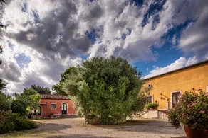 Borgo degli Ulivi: APPARTAMENTO SU DUE LIVELLI PER 3 PERSONE - Image 2