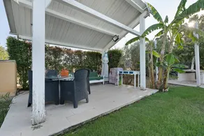 Masone Verde - Image 3