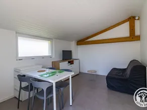 Cottage with barbeque - Image 4