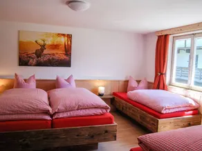 Spacious holiday home with terrace & garden | Pet-friendly - Image 4