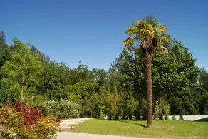Fully equipped wonderful villa with terrace, private pool & barbeque - Image 4