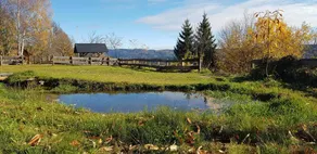 Child-friendly nice holiday home with sauna, garden & terrace | Pets allowed - Image 4