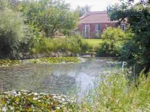 Family-friendly beautiful cottage with garden - Image 5