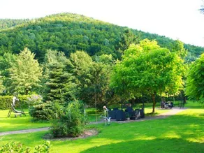 Family-friendly lovely dedicated room with heated pool, sauna & garden | Mountain view | Suitable for remote work | Pet-friendly - Image 4
