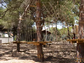 Tent with terrace - Image 3