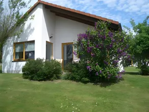 Family-oriented pleasant house with terrace & garden | Garden view | Good for workation | Dogs allowed - Image 3
