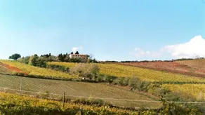 La Querciola: Lavanda - Image 3