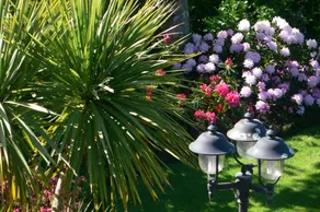 Wunderschöne Ferienunterkunft mit Grill und Garten - Image 3