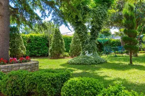 Flat with terrace, BBQ & garden | Pet-friendly - Image 3