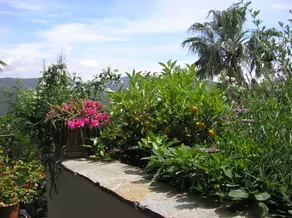 Terrazza Belvedere: STELLA DEL NORD - Image 3