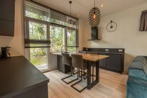 Luxury wellness cabin with freestanding bathtub, infrared sauna, hot tub and outdoor shower, directly next to Dwingelderveld National Park. - Image 5