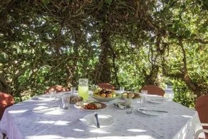 Fully equipped beautiful holiday apartment with terrace, garden & barbecue | Dogs allowed - Image 4