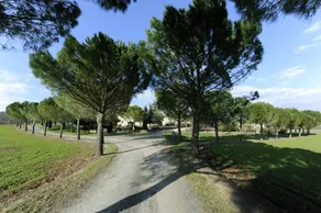 Agriturismo Nerbona: Appartamento Mangiatoia - Image 5