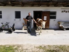 Urlaub am Bauernhof Hönigshof - Image 5