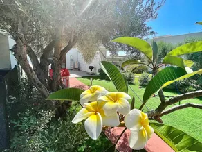Villa avec barbecue, piscine privée et jacuzzi | Vue nature - Image 5
