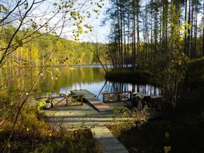 Ferienhaus mit Sauna und Terrasse | Naturblick | Hunde erlaubt - Image 3