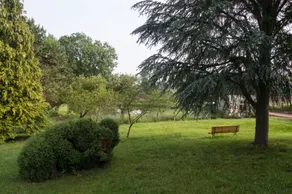 Le pré de Mazirat - Image 5