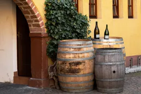 Gasthaus Zum Winzer - Image 3